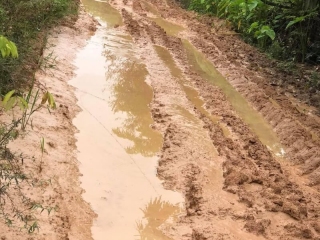 Road repair donation photo 2