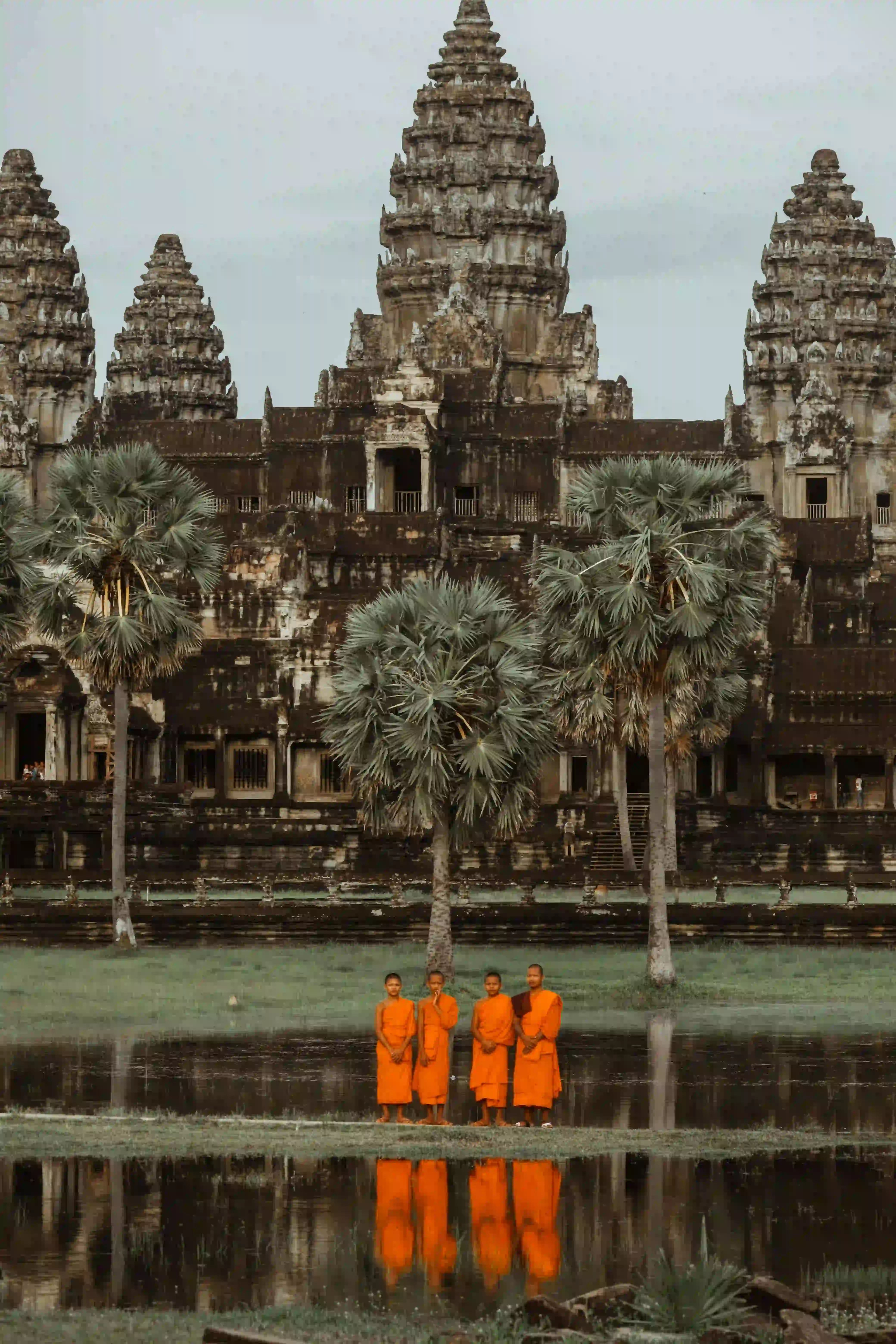 Angkor Wat – Jungle Temple