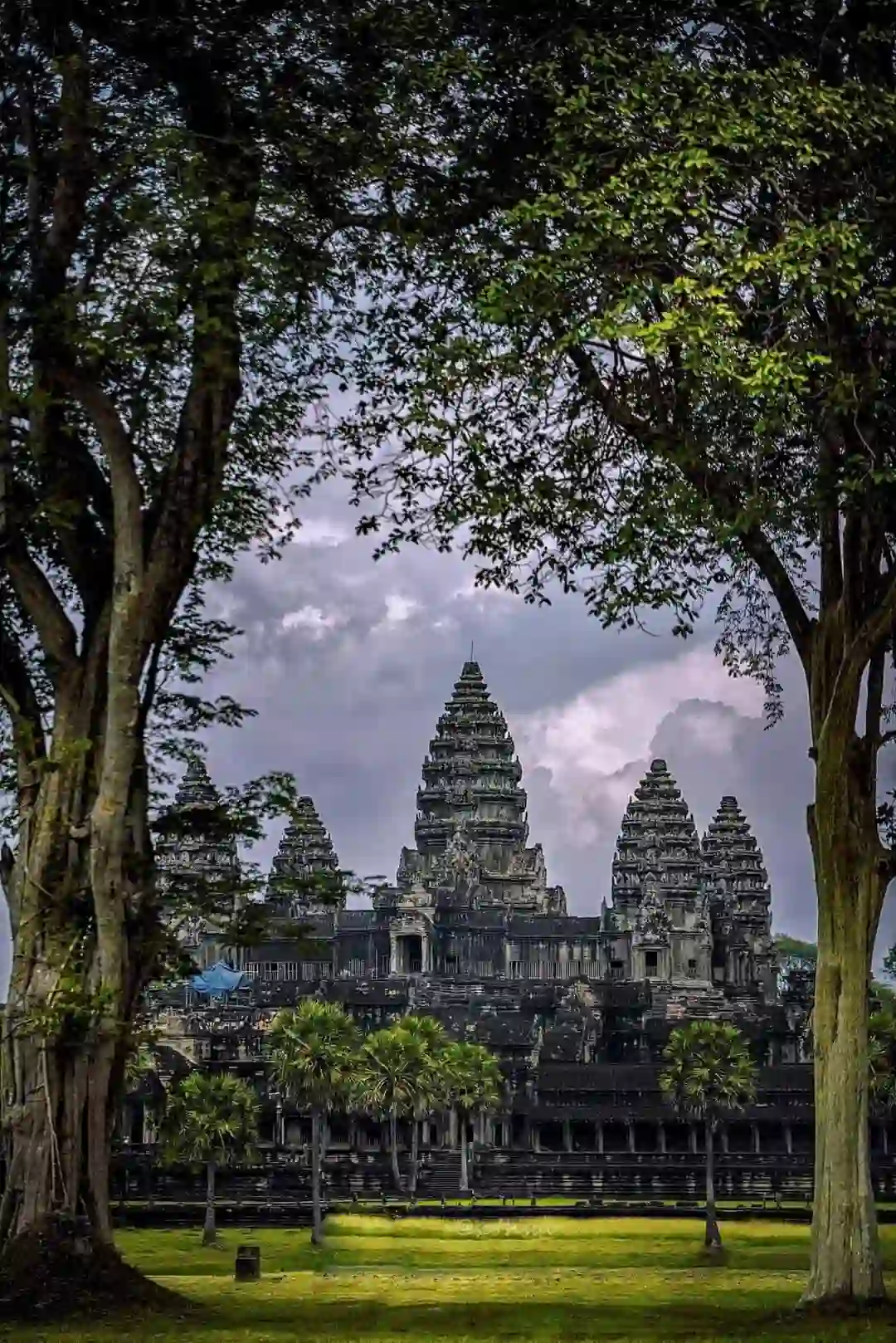 Angkor Wat – Grand Circuit – Jungle Temple